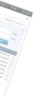 Caspio Bridge 8.0 New Interface