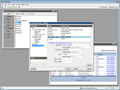 Caspio Bridge Localization Wizard