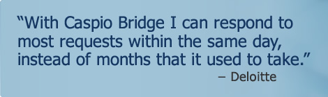 with Caspio Bridge I can respond to most requests within the same day