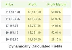 Dynamically Calculated Fields